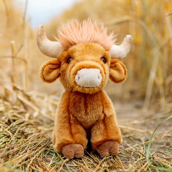 Highland-karja - Nalle - Animigos