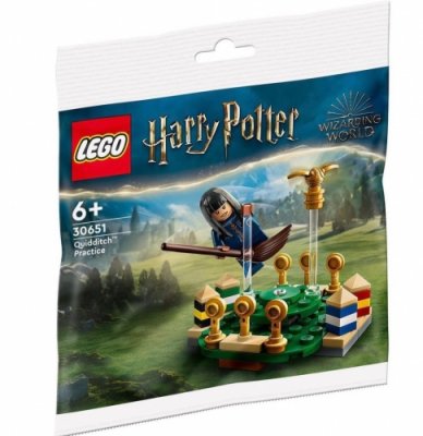 Lego - Harry Potter Quidditch Practice