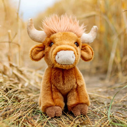 Highland-karja - Nalle - Animigos