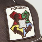 Harry Potter-lippikset