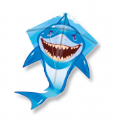 Lentävä lohikäärme hain aiheessa 57x55 cm