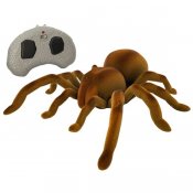 Real Wild Giant Spider