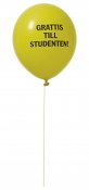 Student ilmapallot 8 kpl (keltainen / sininen)