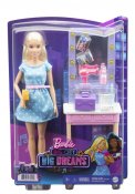Barbie Big City Big Dreams Malibu nukke lelun kanssa
