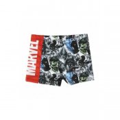 Avengers Uimapuvut