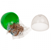 Rakennuspalikat Dinosaurus