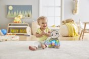Fisher-Price, Aktiviteettilelut Linkimals Smooth Moves laiskiainen