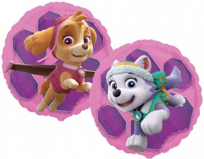 Paw Patrol Skye Everest folioilmapallo