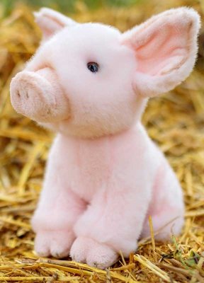 Possunpoikanen - Nalle - Animigos