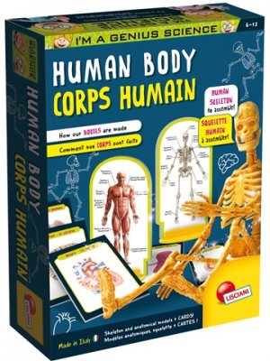 Anatomia Box, oppia kehon