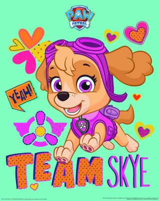 Paw Patrol Skye juliste 40x50 cm