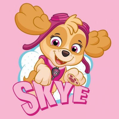 Paw Patrol Skye pyyhe 30x30cm